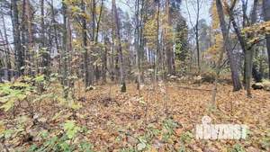 Дом 70м², 1-этажный, участок 5 сот.