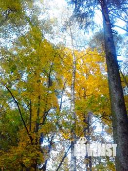 Дом 240м², 3-этажный, участок 10 сот.