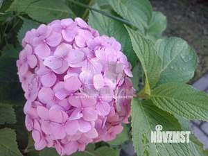 Дом 150м², 2-этажный, участок 8 сот.  