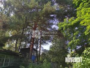 Дача 58м², 2-этажный, участок 12 сот.  
