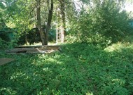 Фото комнаты в аренду (7)