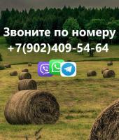 Фото комнаты в аренду (4)