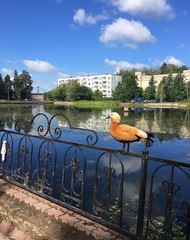 Фото комнаты на продажу (3)