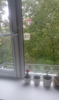 Фото комнаты на продажу (8)