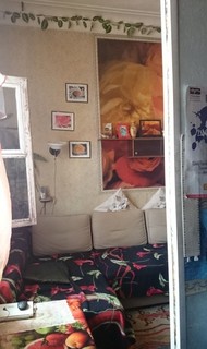 Фото комнаты на продажу (9)