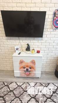 2-к квартира, посуточно, 40м2, 4/20 этаж